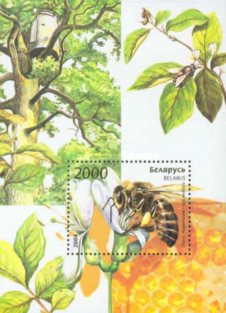 [Insects - Bee, type ]