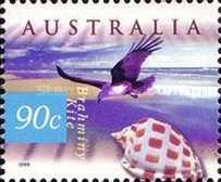 [Costal Animals & Seashells, type BGI]