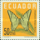[Butterflies, type ALL]