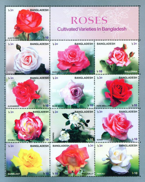 [Roses - Cultivated Varieties in Bangladesh, type ]