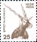 [Wildlife, type BID]