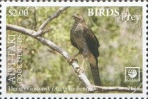 [Birds of Prey - White Frame, type ZS]