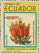 [Flowers, type BVS]