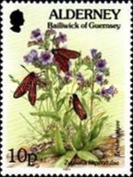 [Flora and Fauna, type BV]