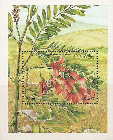 [Flora - International Stamp Exhibition ARGENTINA -85 - Buenos Aires, Argentina, type ]