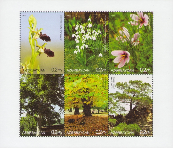 [Flora of Azerbaijan, type ]