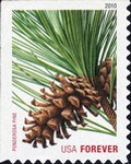 [Christmas - USA Forever - Self-Adhesive Stamps (44 cents), type FTA]