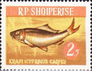 [Fish, type OE]