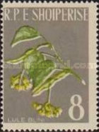 [Medical Plants, type JB]