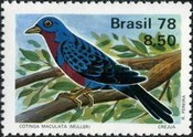 [Birds, type BJH]