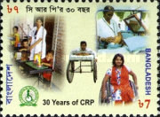 [The 30th Anniversary of the Centre for the Rehabilitation of the Paralysed, type AHM]