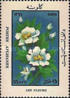 [Flora - Flowering Plants, type AIB]