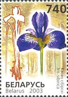 [Flowers, type QA]