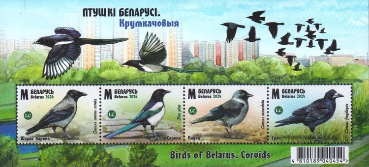 [Birds of Belarus - Corvids, type ]