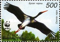 [WWF - Black Stork, type UC]