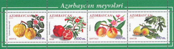 [Fruits, type ]