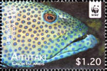 [Fish, type SP]
