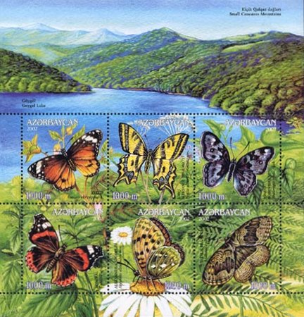 [Butterflies and Moths, type ]