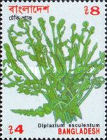 [Vegetables, type QN]
