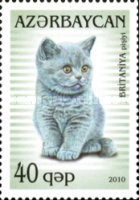 [Domestic Cats, type ACE]