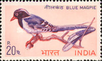 [Birds, type JZ]