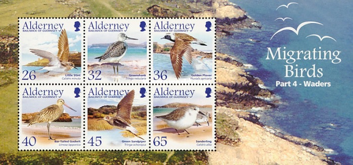 [Migrating Birds - Waders, type ]