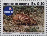 [Ecology and Conservation, type ALK]
