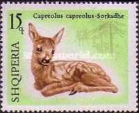 [European Roe Deer, type AAN]