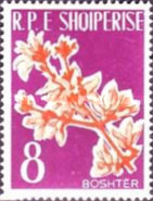 [Flowers, type IR]