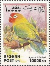 [Birds - Parrots, type AUF]