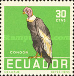 [Tropical Birds, type AHB]