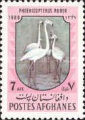 [Fauna - Birds, type ZOK]