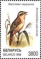 [Birds of Belarus, type HZ]