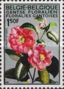 [flowers - Botanical Garden in Gent, type ALK]