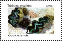 [Marine Life, type TY]