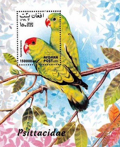 [Birds - Parrots, type ]