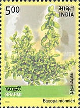 [Medicinal Plants of India, type CCN]