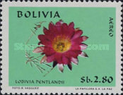 [Airmail - Bolivian Flora, type PB]