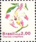 [Flowers, type CJQ]
