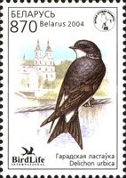 [Bird of the Year - Common House Martin, type RY]