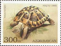 [Tortoises and Turtles, type FE]