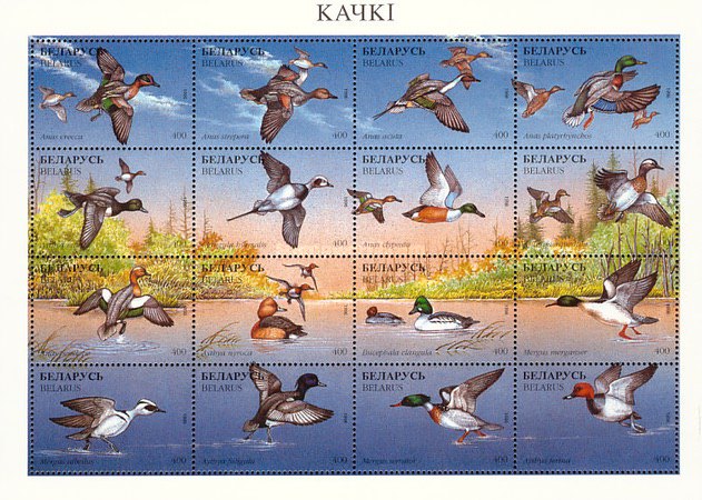 [Birds, type ]