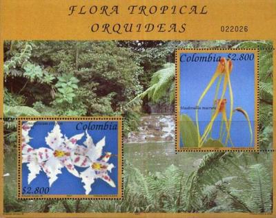 [Orchids, type ]