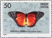 [Butterflies, type AAC]