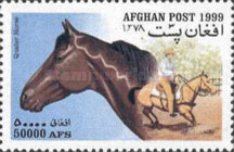 [Horses, type ATV]