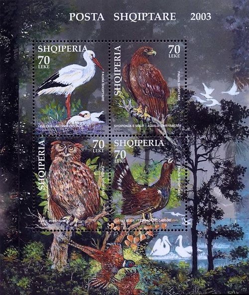 [Local Birds, type ]