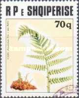 [Medicinal Plants, type XPW]