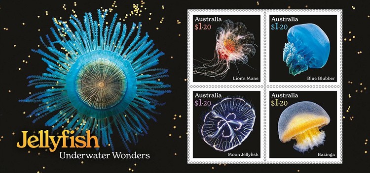 [Marine Life - Jellyfish - Underwater Wonders, type ]