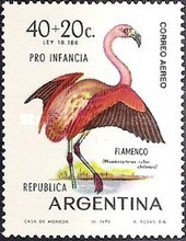 [Child Welfare - Birds, type ABZ]