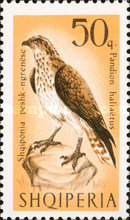 [Birds of Prey, type YY]